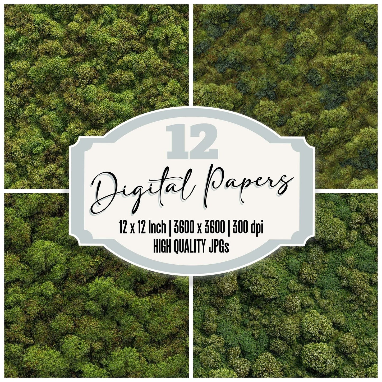 Green Moss Carpet Digital Paper Pack (DDD008437)