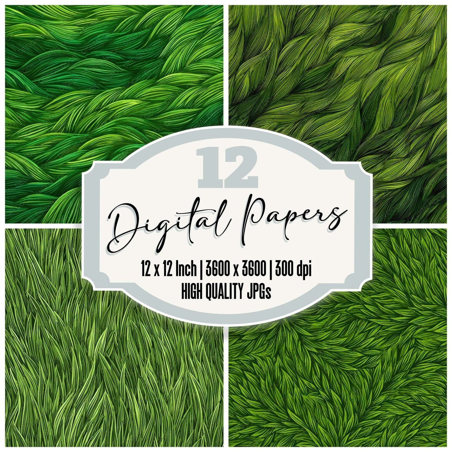 Green Grass Blades Digital Paper Pack (DDD008497)