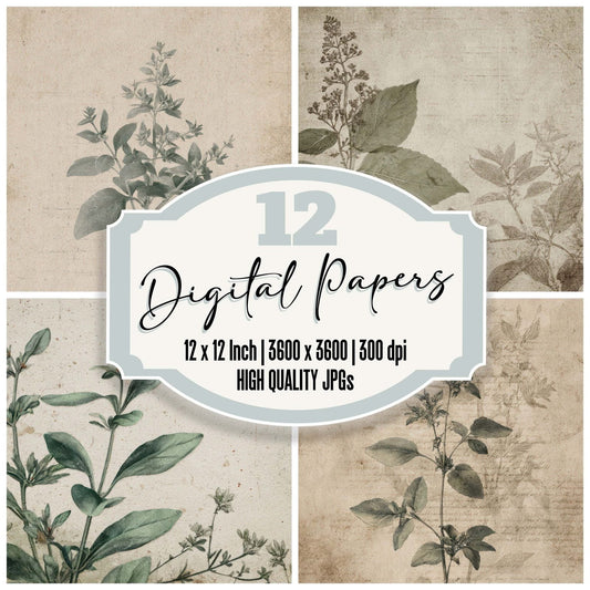 Vintage Herb Label Digital Paper Pack (DDD008661)