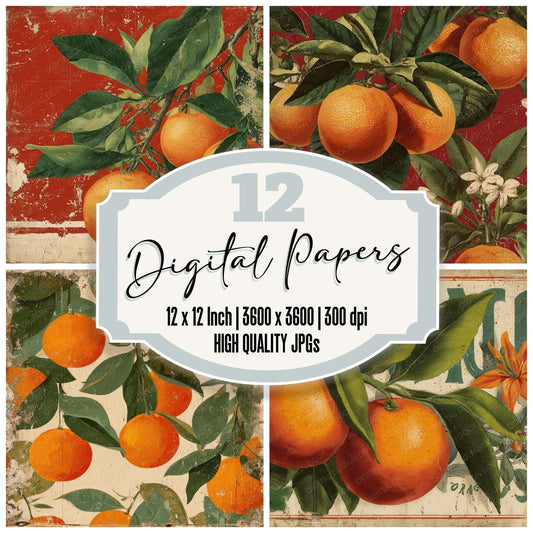 Vintage Orange Label Digital Paper Pack (DDD008664)
