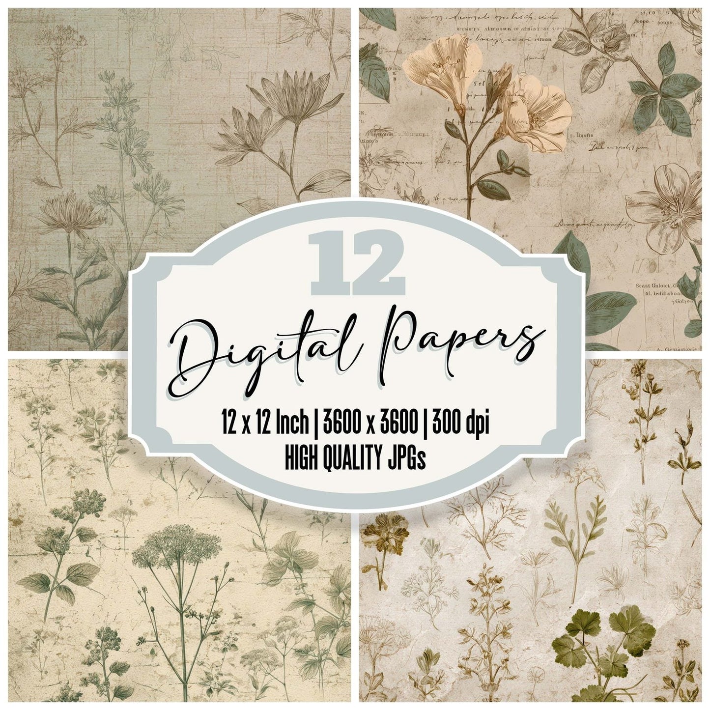 Vintage Seed Catalog Digital Paper Pack (DDD008665)