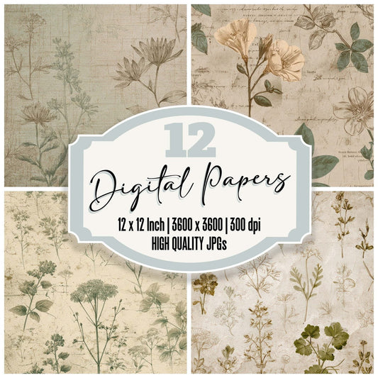 Vintage Seed Catalog Digital Paper Pack (DDD008665)