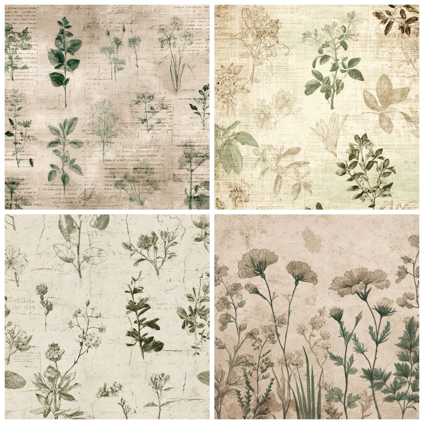 Vintage Seed Catalog Digital Paper Pack (DDD008665)