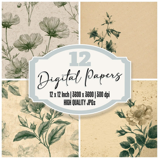 Vintage Seed Packet Digital Paper Pack (DDD008666)