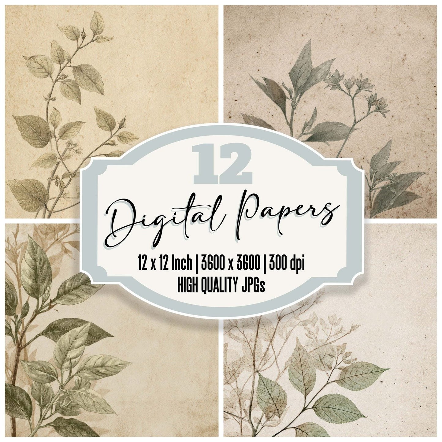 Vintage Botanical Catalog Digital Paper Pack (DDD008671)