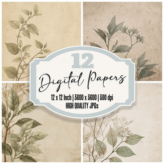 Vintage Botanical Catalog Digital Paper Pack (DDD008671)