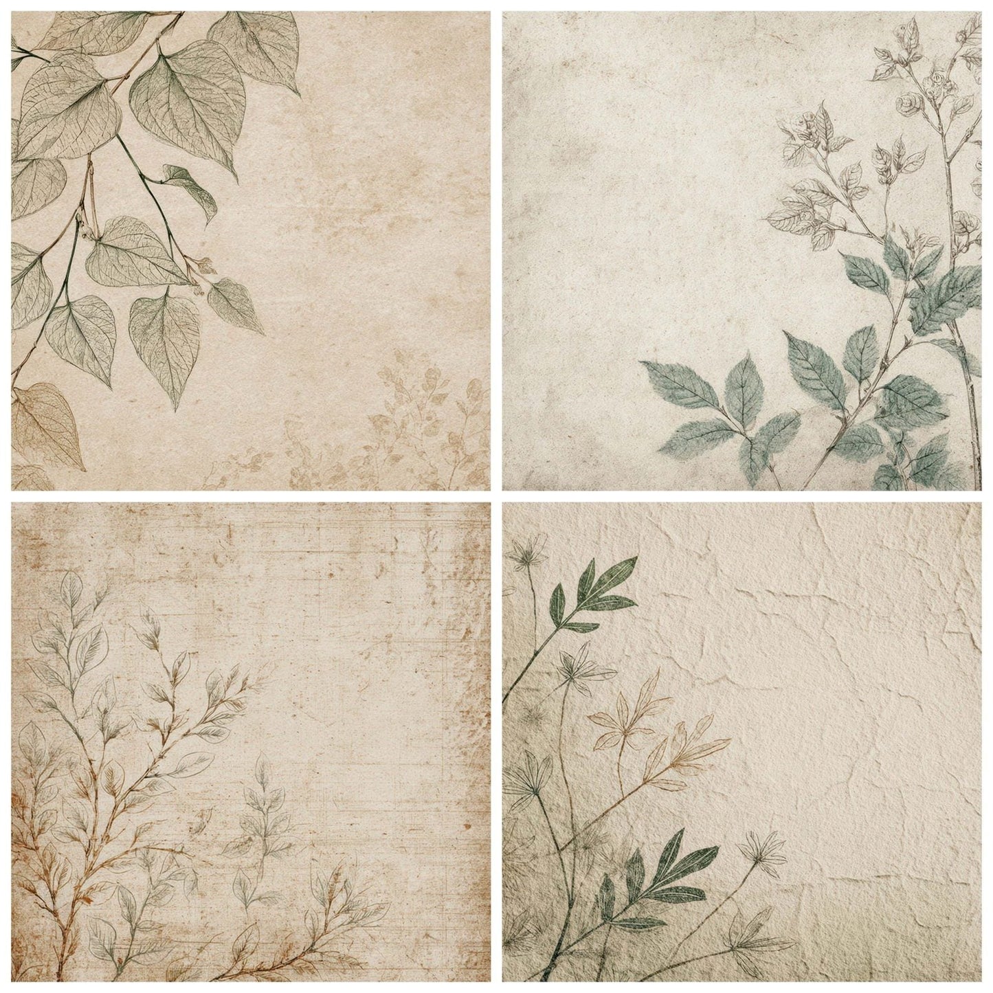 Vintage Botanical Catalog Digital Paper Pack (DDD008671)