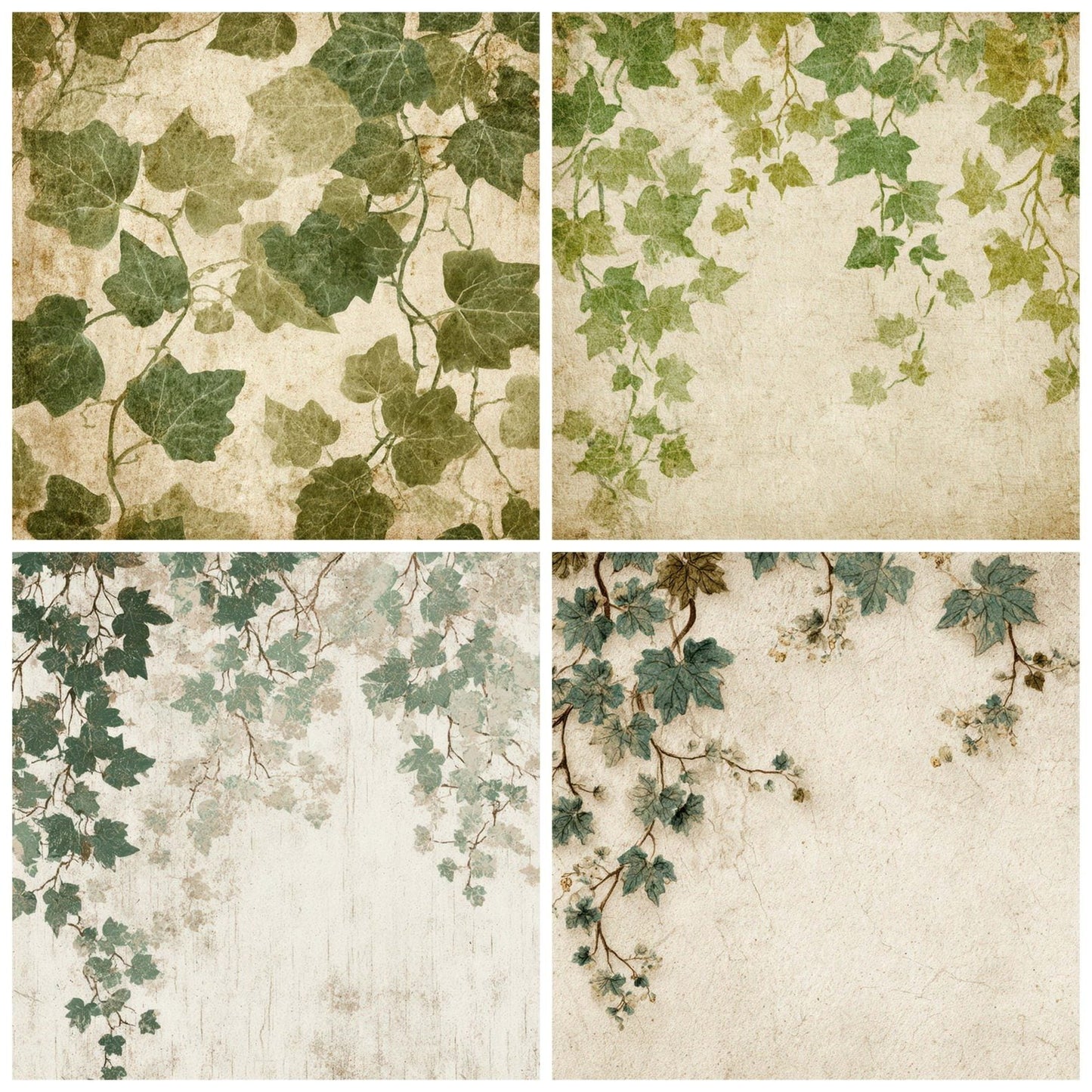 Vintage Ivy Overlay Digital Paper Pack (DDD008676)