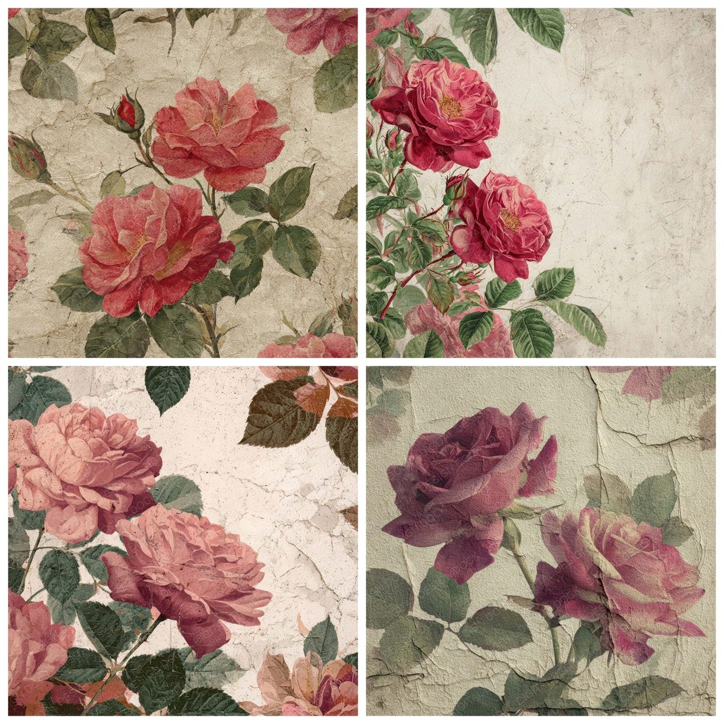 Vintage Rose Overlay Digital Paper Pack (DDD008682)