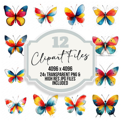 Butterfly Illustration Clipart Set (DDD008688)