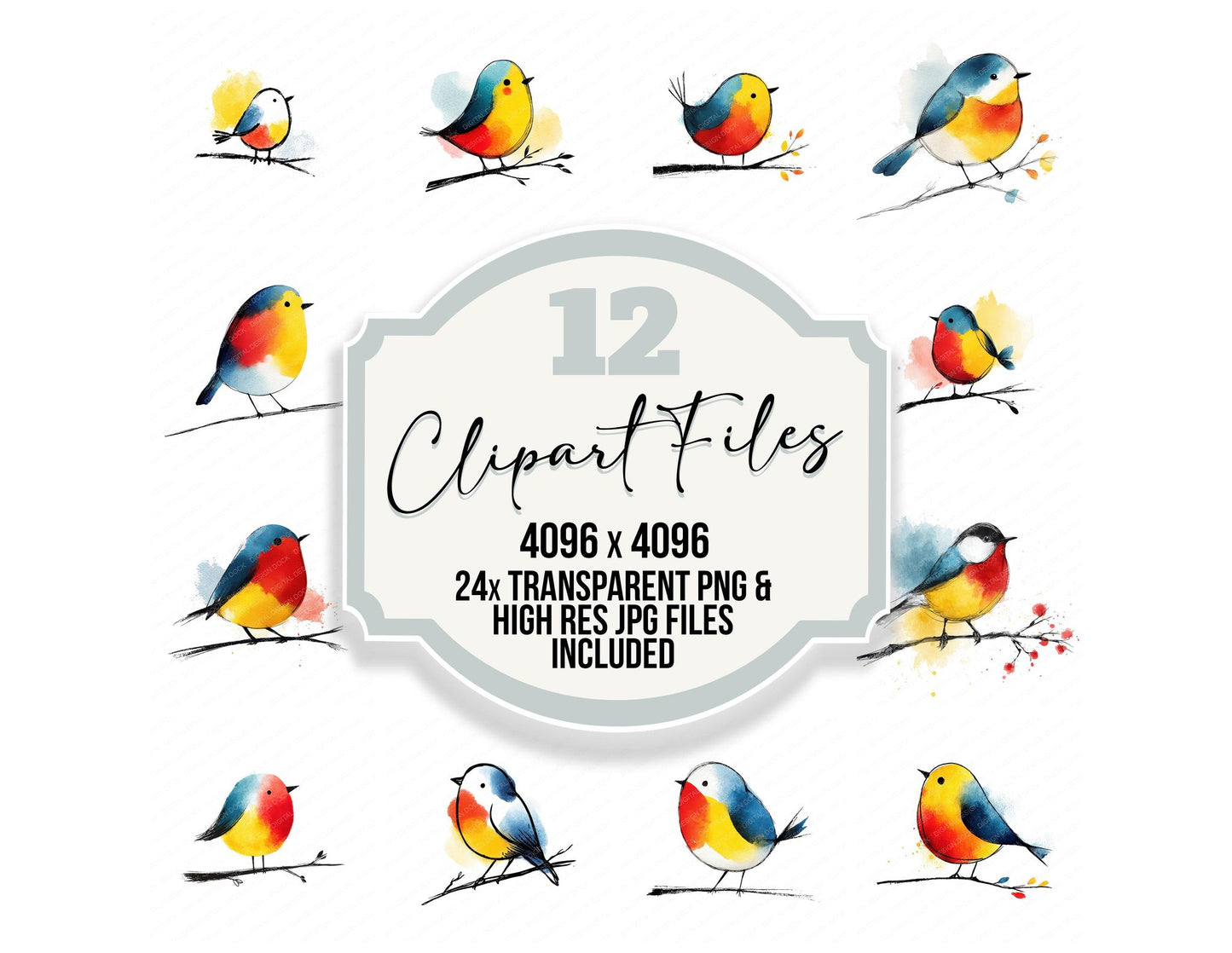 Little Bird Illustration Clipart Set (DDD008690)