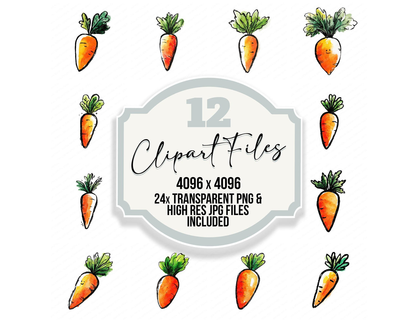 Simple Minimal Carrot Illustration Clipart Set (DDD008698)