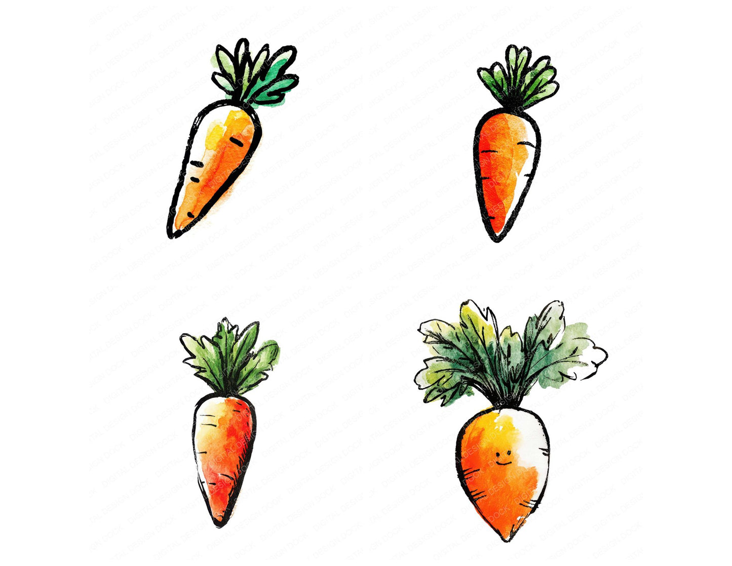 Simple Minimal Carrot Illustration Clipart Set (DDD008698)