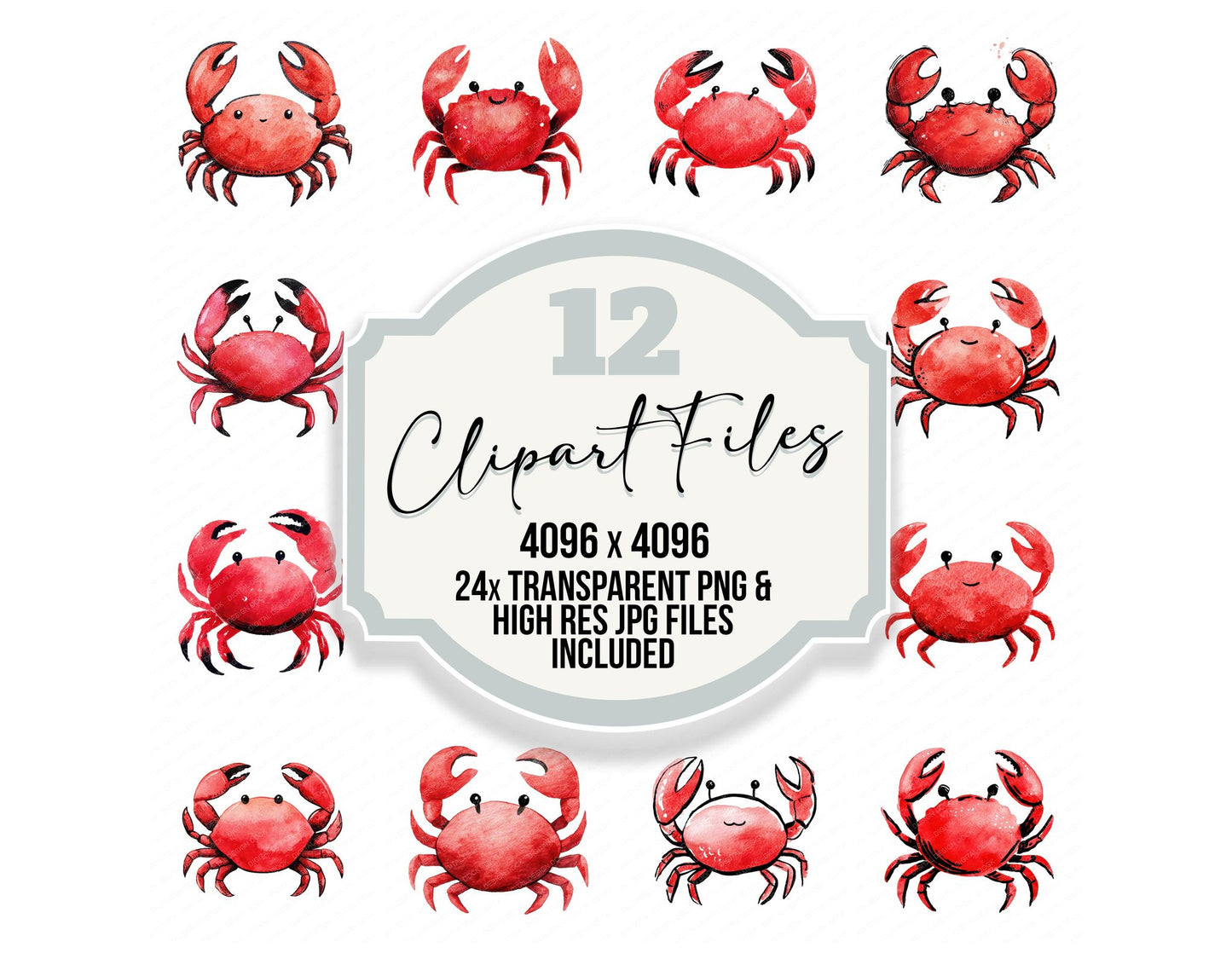 Simple Minimal Crab Illustration Clipart Set (DDD008750)