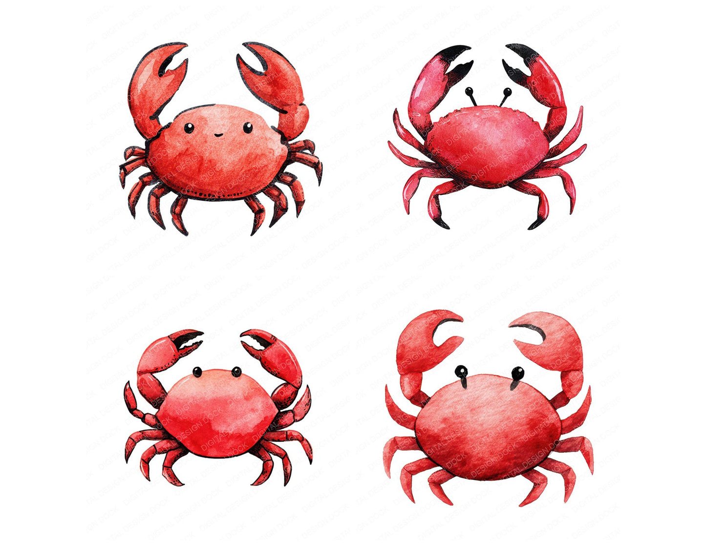 Simple Minimal Crab Illustration Clipart Set (DDD008750)