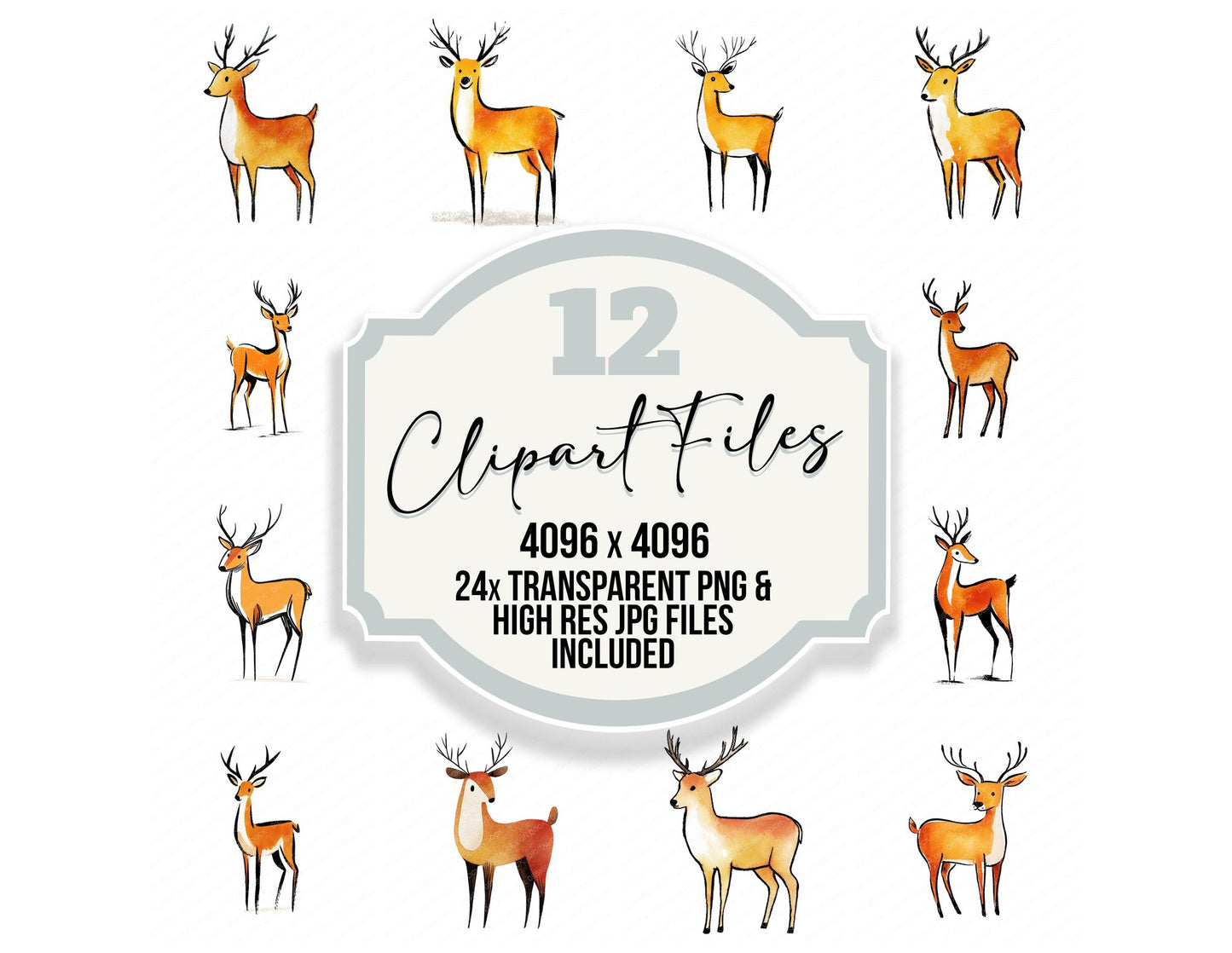 Simple Minimal Deer Illustration Clipart Set (DDD008751)