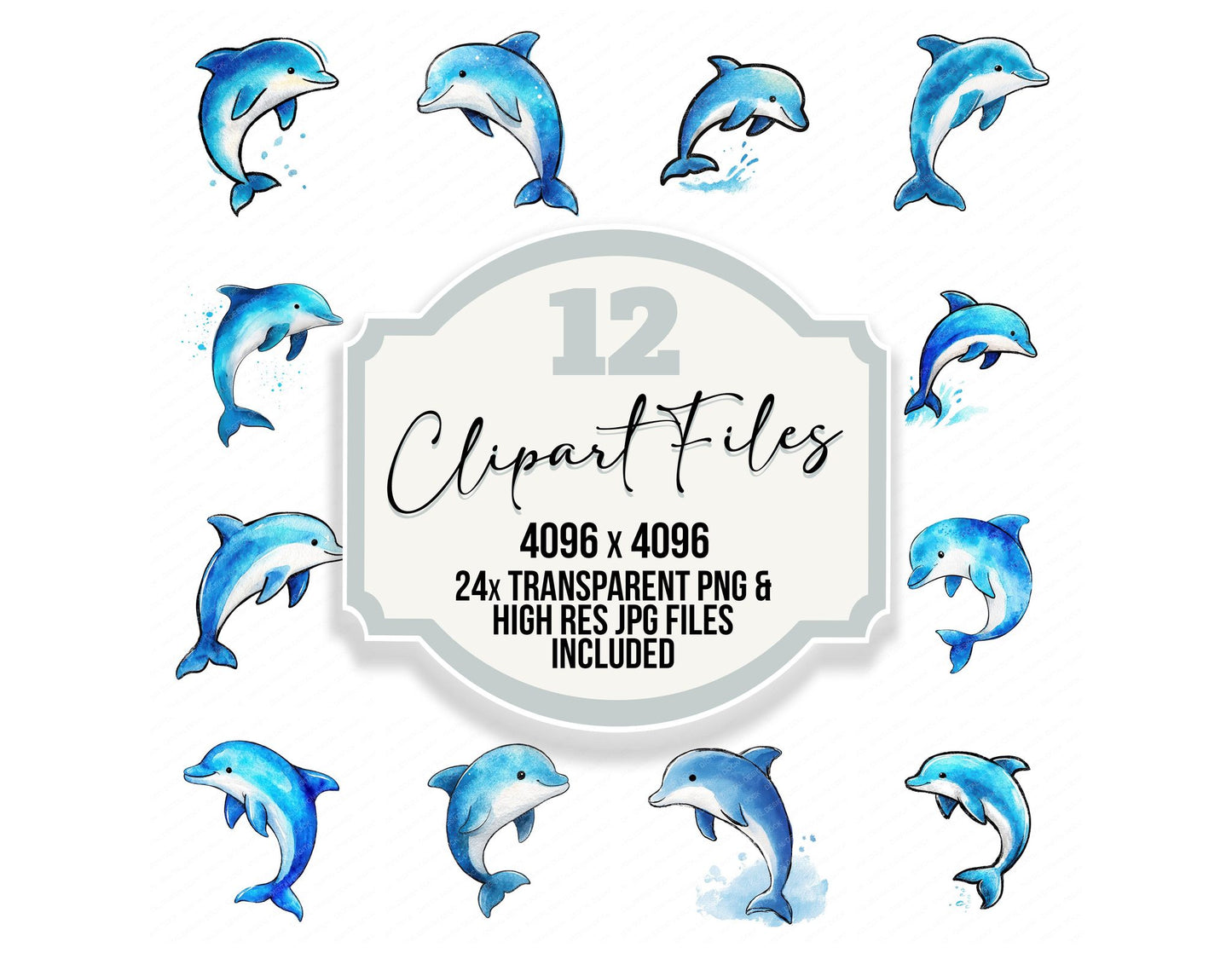 Simple Minimal Dolphin Illustration Clipart Set (DDD008753)