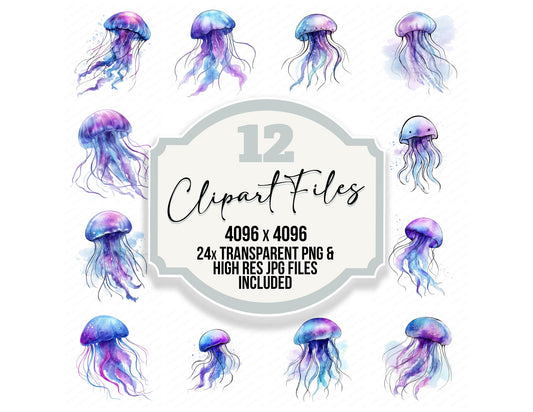Simple Minimal Jellyfish Illustration Clipart Set (DDD008758)