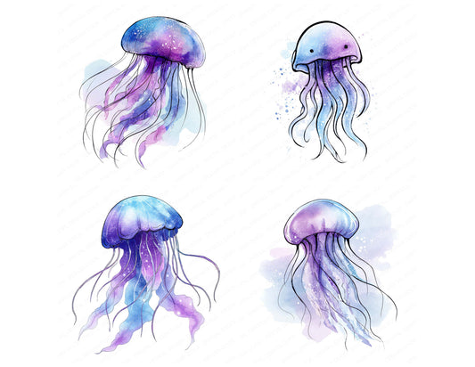 Simple Minimal Jellyfish Illustration Clipart Set (DDD008758)