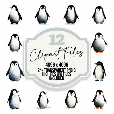 Simple Minimal Penguin Illustration Clipart Set (DDD008761)