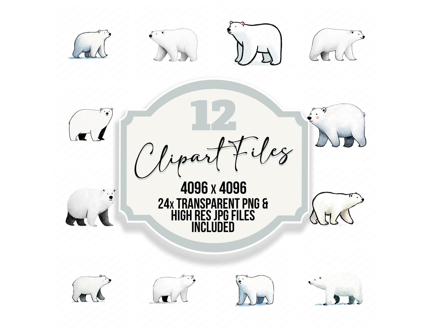 Simple Minimal Polar Bear Illustration Clipart Set (DDD008762)