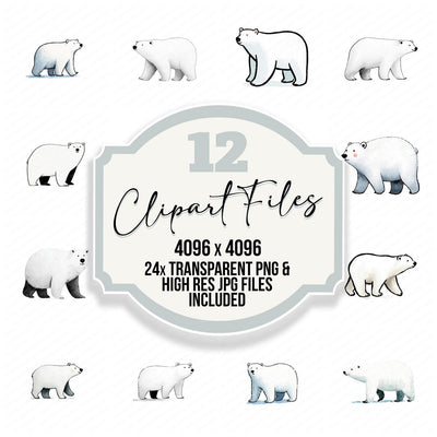 Simple Minimal Polar Bear Illustration Clipart Set (DDD008762)