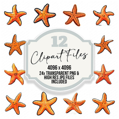 Simple Minimal Starfish Illustration Clipart Set (DDD008765)