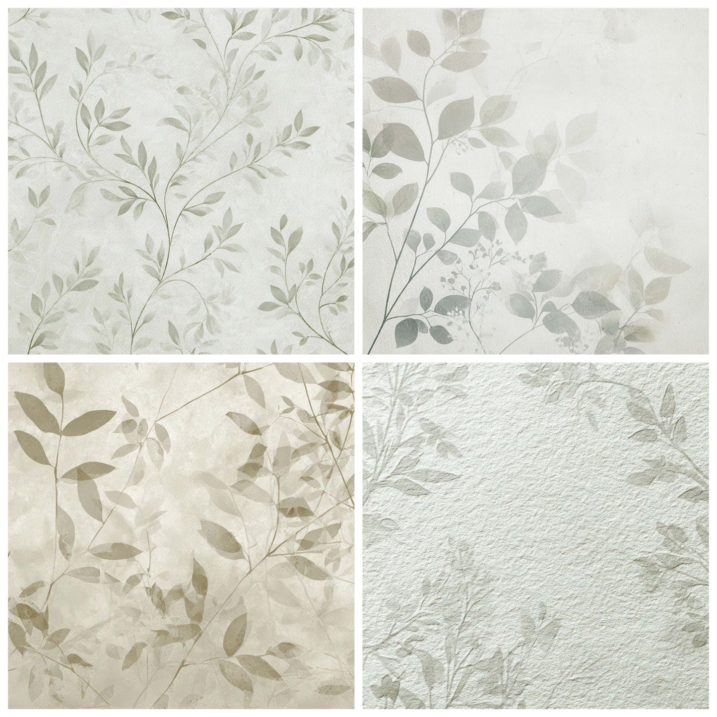Botanical Shadow Paper Digital Paper Pack (DDD008789)