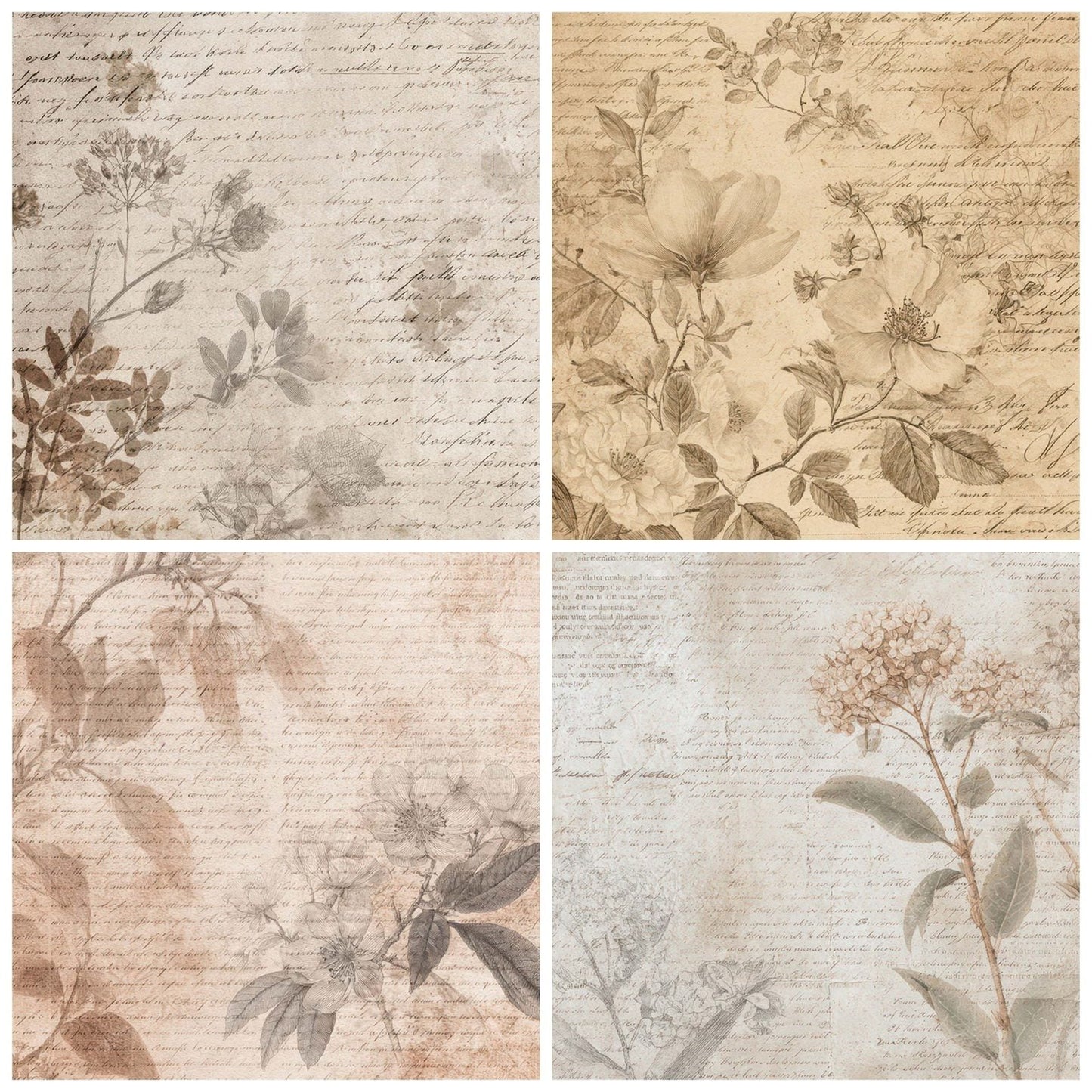 Book Floral Script Digital Paper Pack (DDD008815)