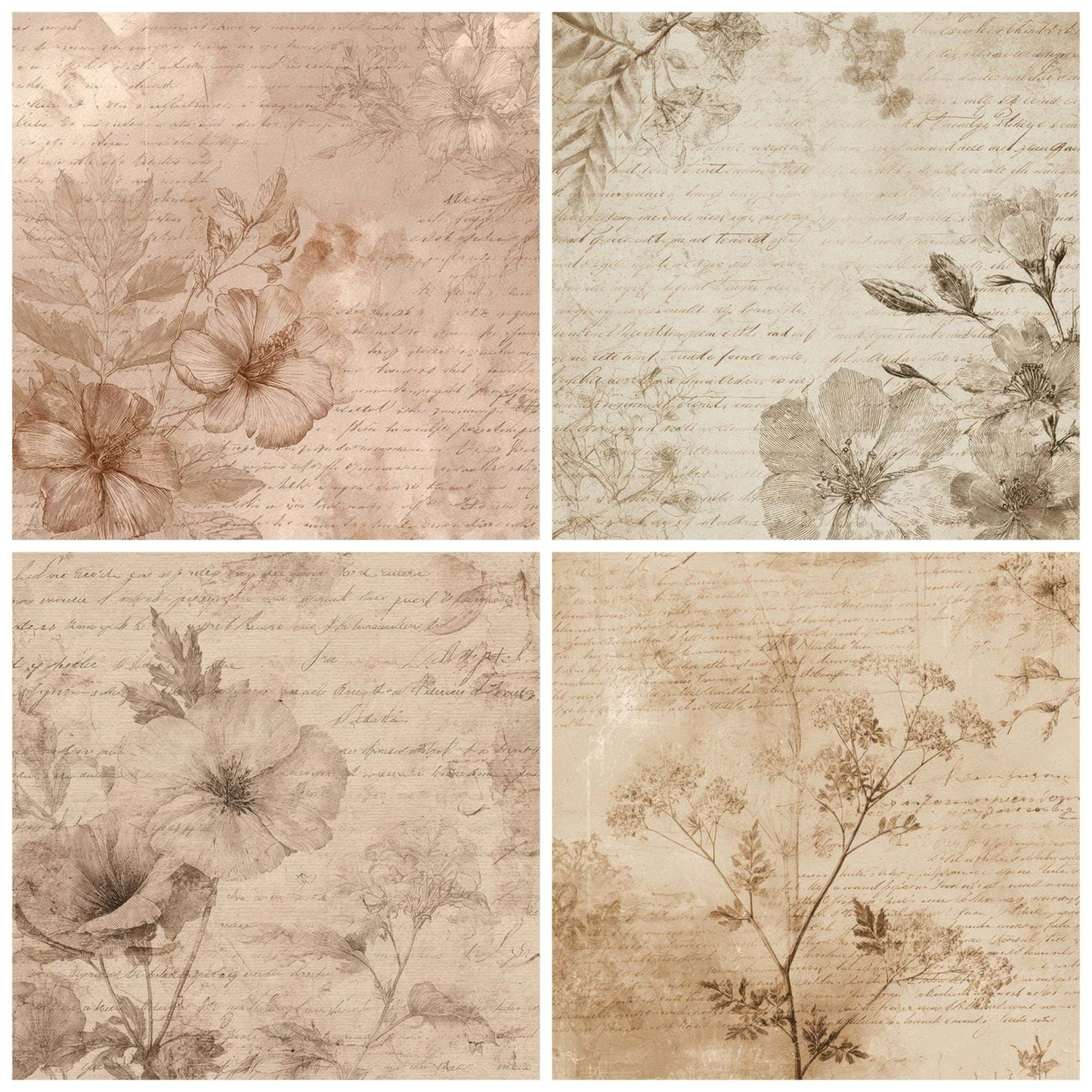 Book Floral Script Digital Paper Pack (DDD008815)