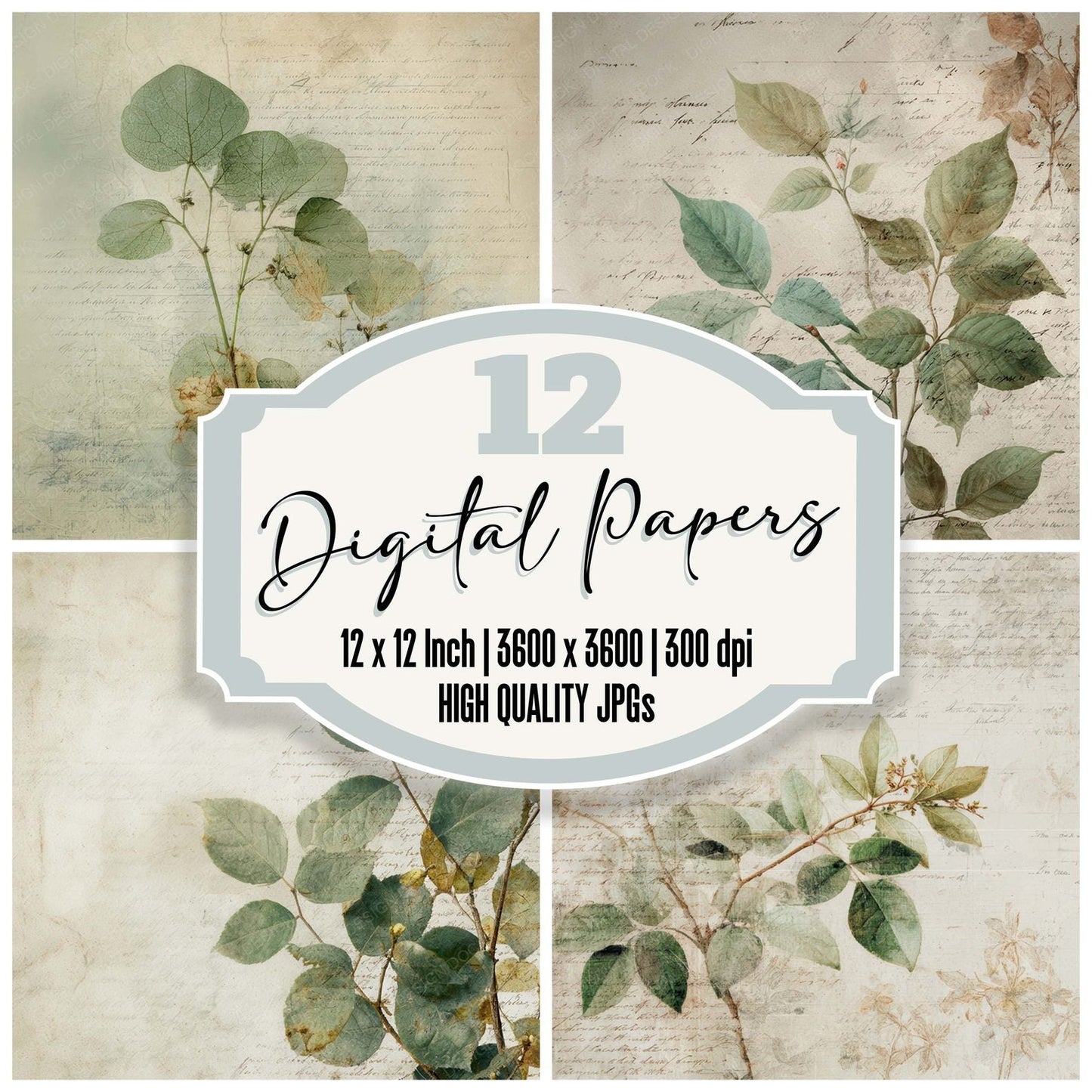 Botanical Study Script Digital Paper Pack (DDD008816)