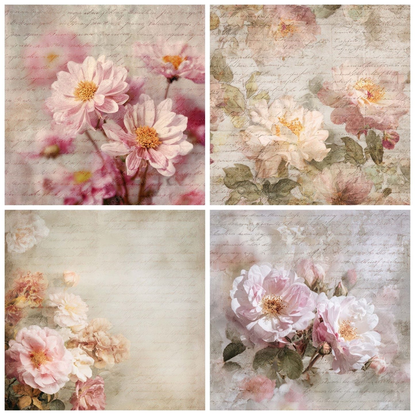 Vintage Floral Script Digital Paper Pack (DDD008825)