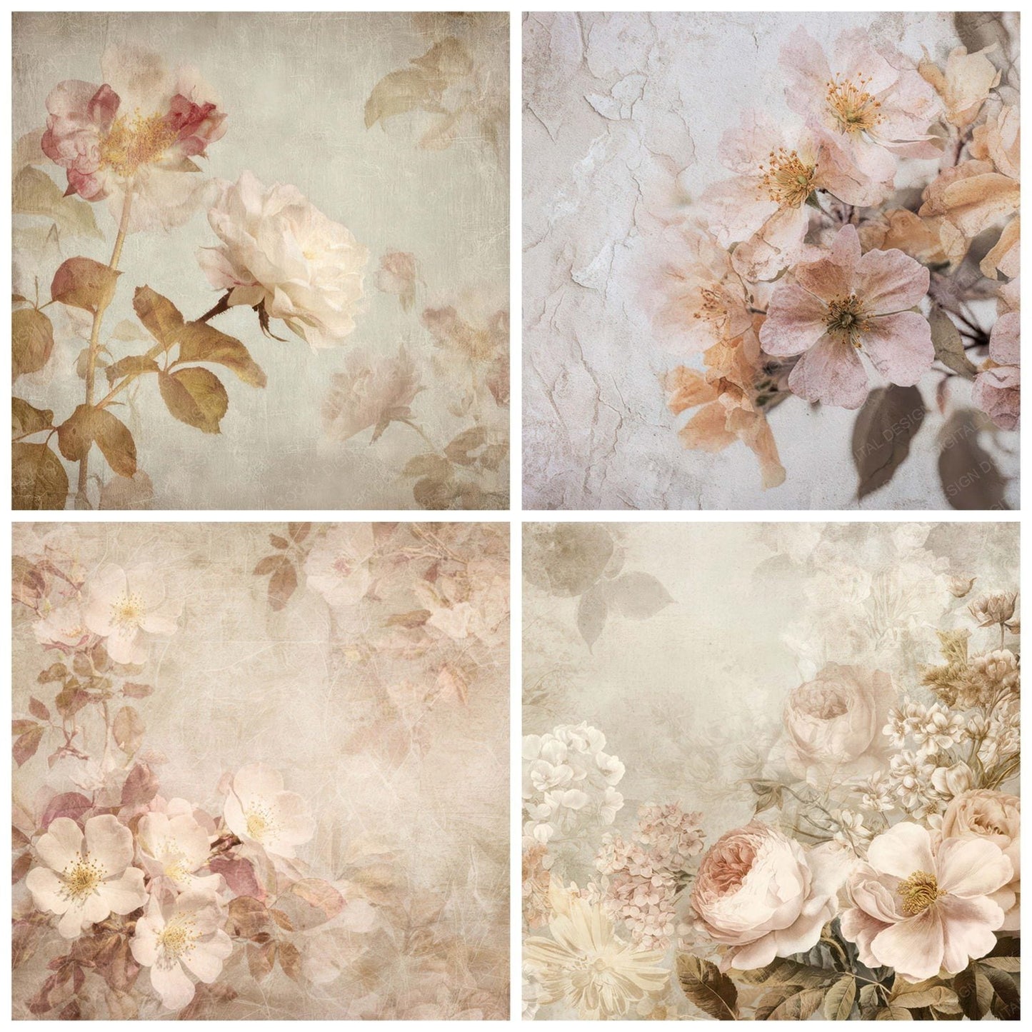 Antique Rose Floral Background Digital Paper Pack (DDD008829)