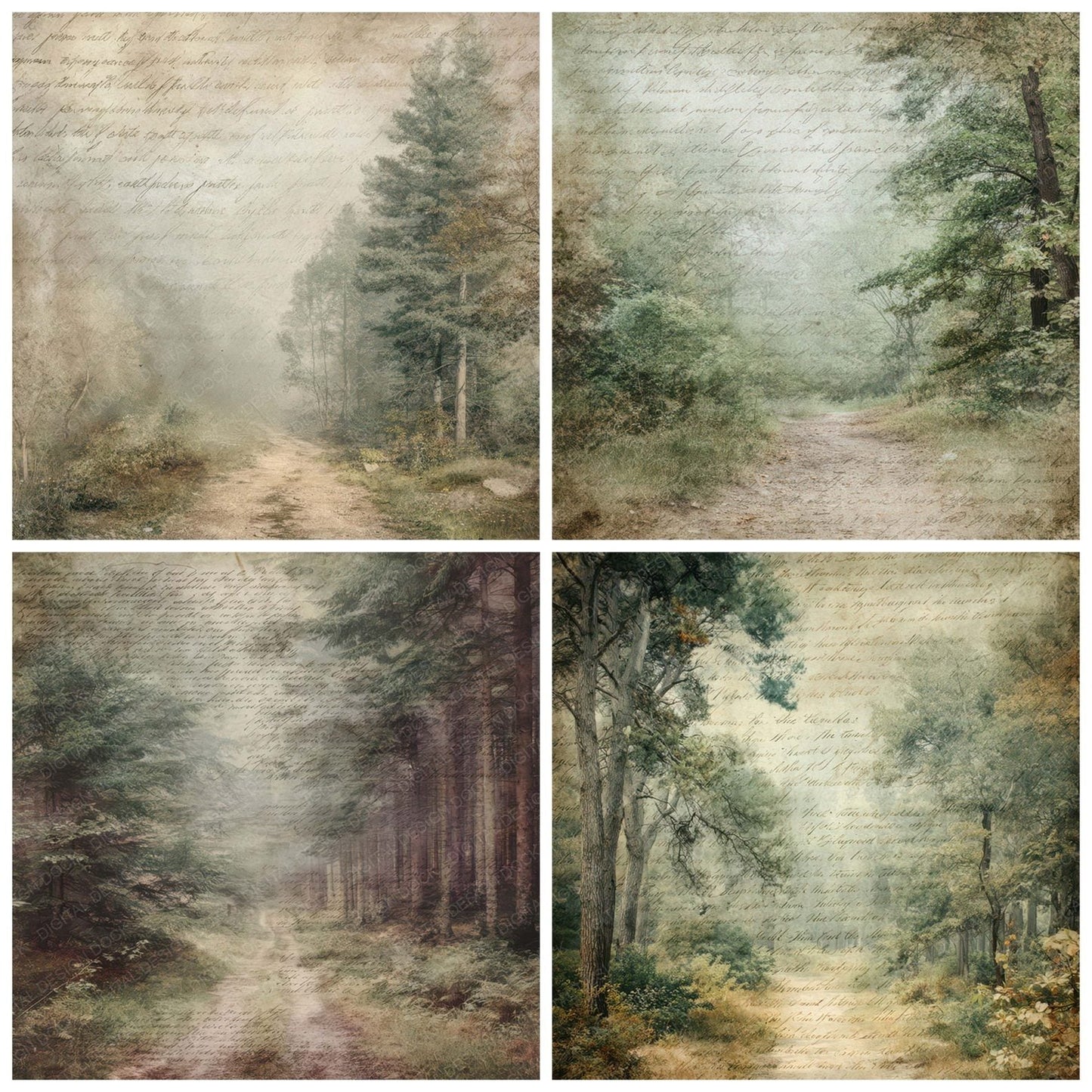 Vintage Forest Path Woodland Scene Digital Paper Pack (DDD008840)
