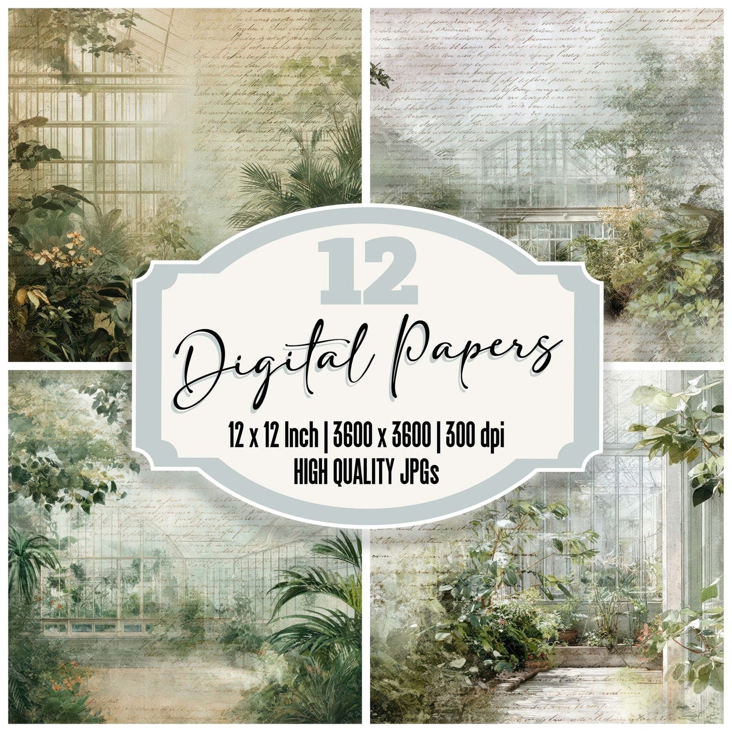 Vintage Greenhouse Interior Scene Digital Paper Pack (DDD008841)