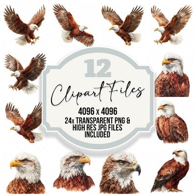 Realistic Eagle Illustration Clipart Set (DDD008850)
