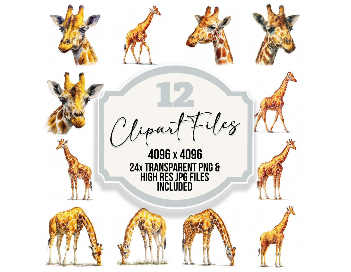 Realistic Giraffe Illustration Clipart Set (DDD008852)