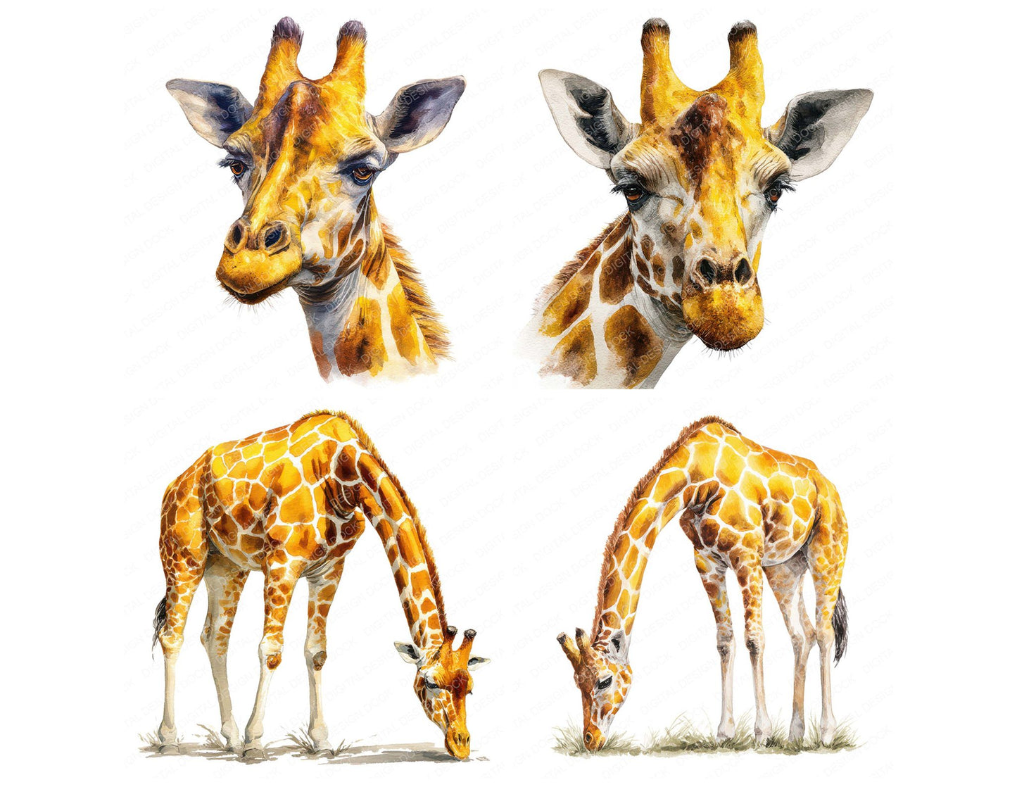 Realistic Giraffe Illustration Clipart Set (DDD008852)