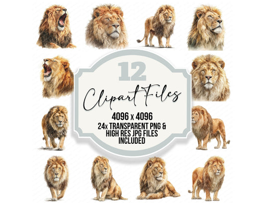 Realistic Lion Illustration Clipart Set (DDD008858)