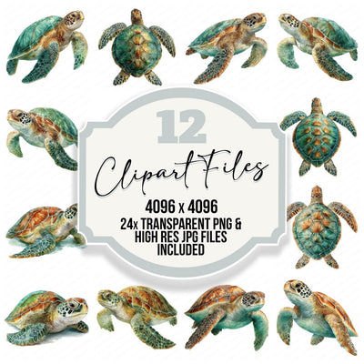 Realistic Sea Turtle Illustration Clipart Set (DDD008864)