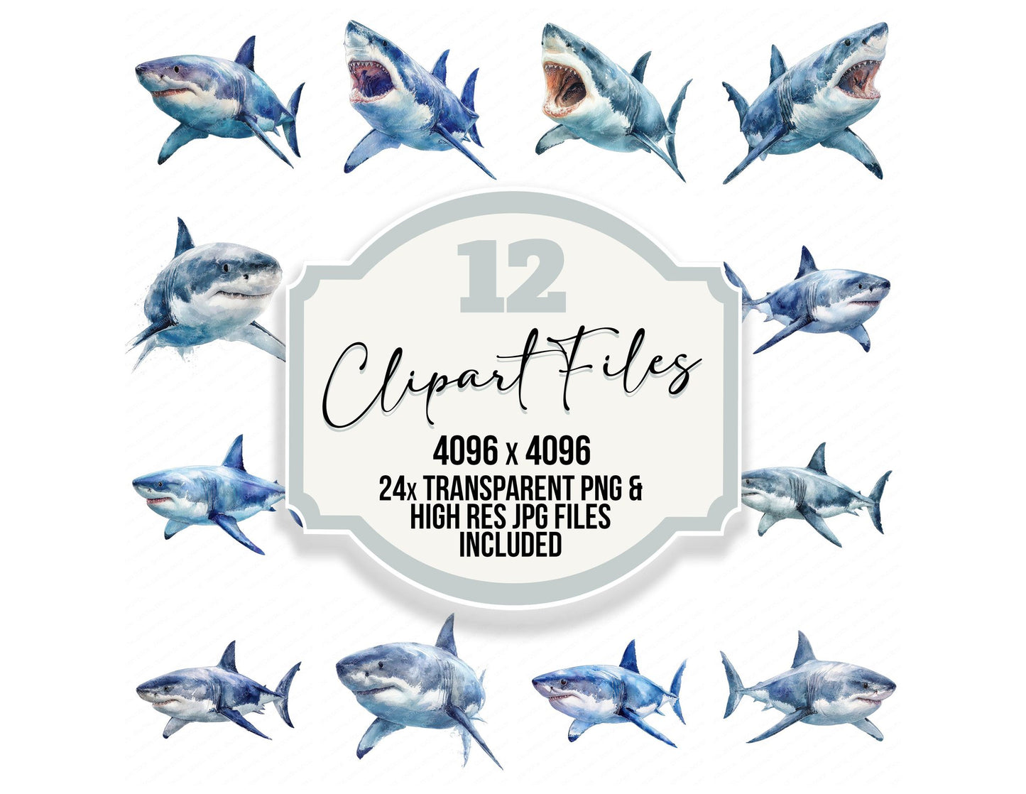 Realistic Shark Illustration Clipart Set (DDD008865)