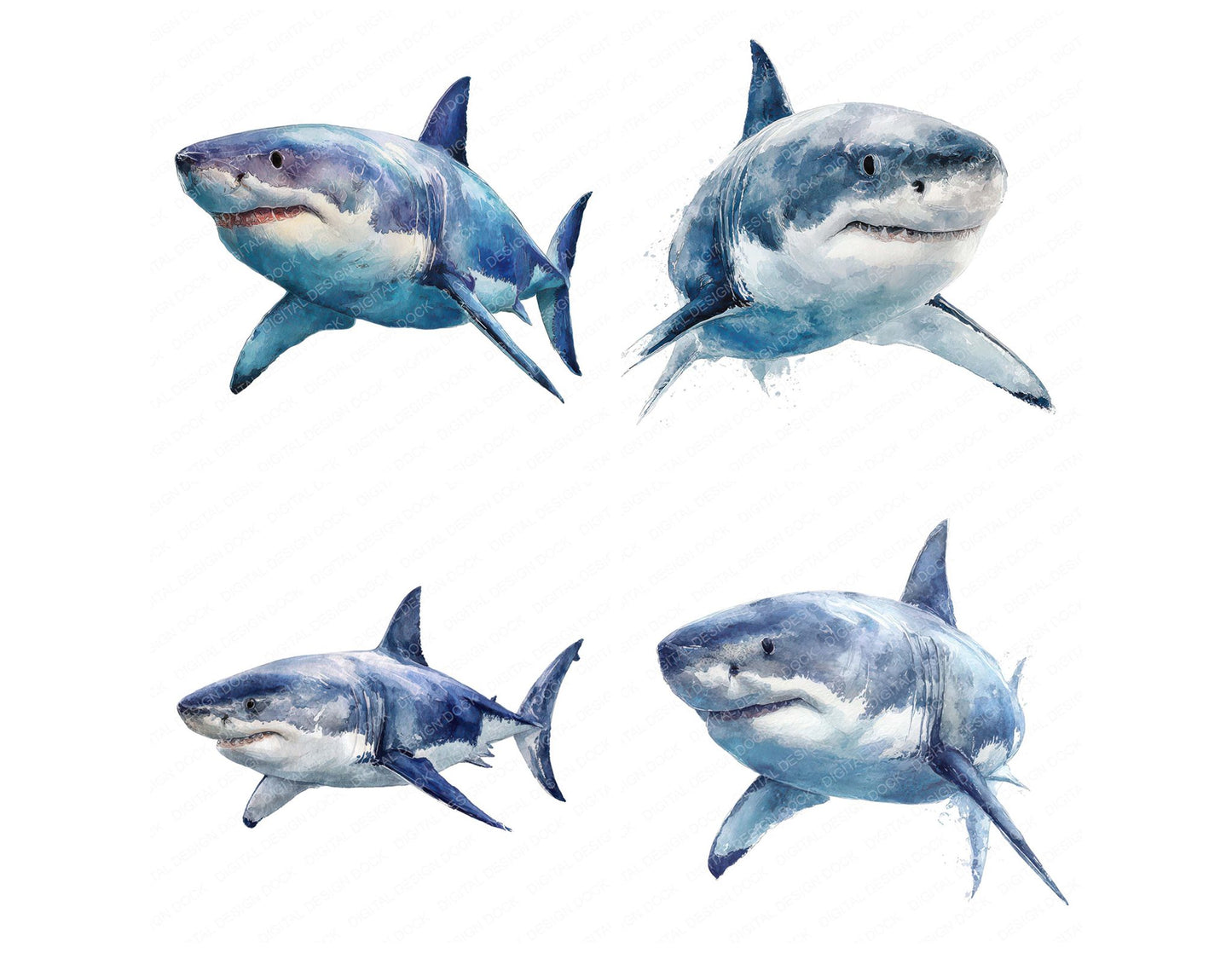 Realistic Shark Illustration Clipart Set (DDD008865)