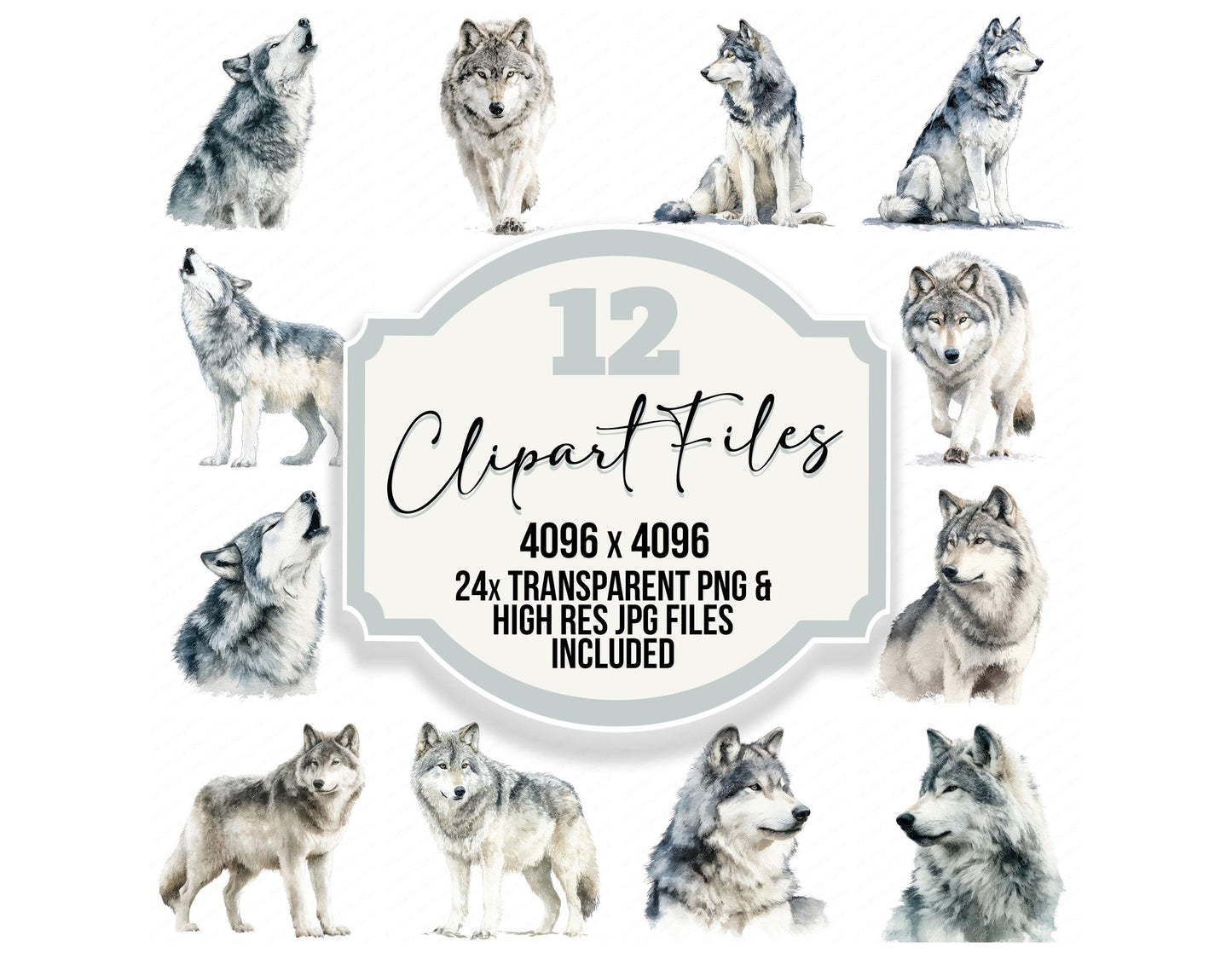 Realistic Wolf Illustration Clipart Set (DDD008866)