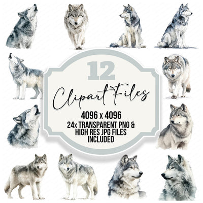 Realistic Wolf Illustration Clipart Set (DDD008866)