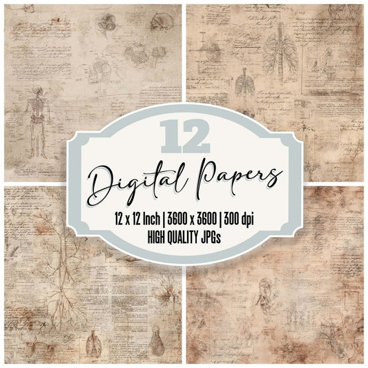 Antique Medical Diagram Background Digital Paper Pack (DDD008869)