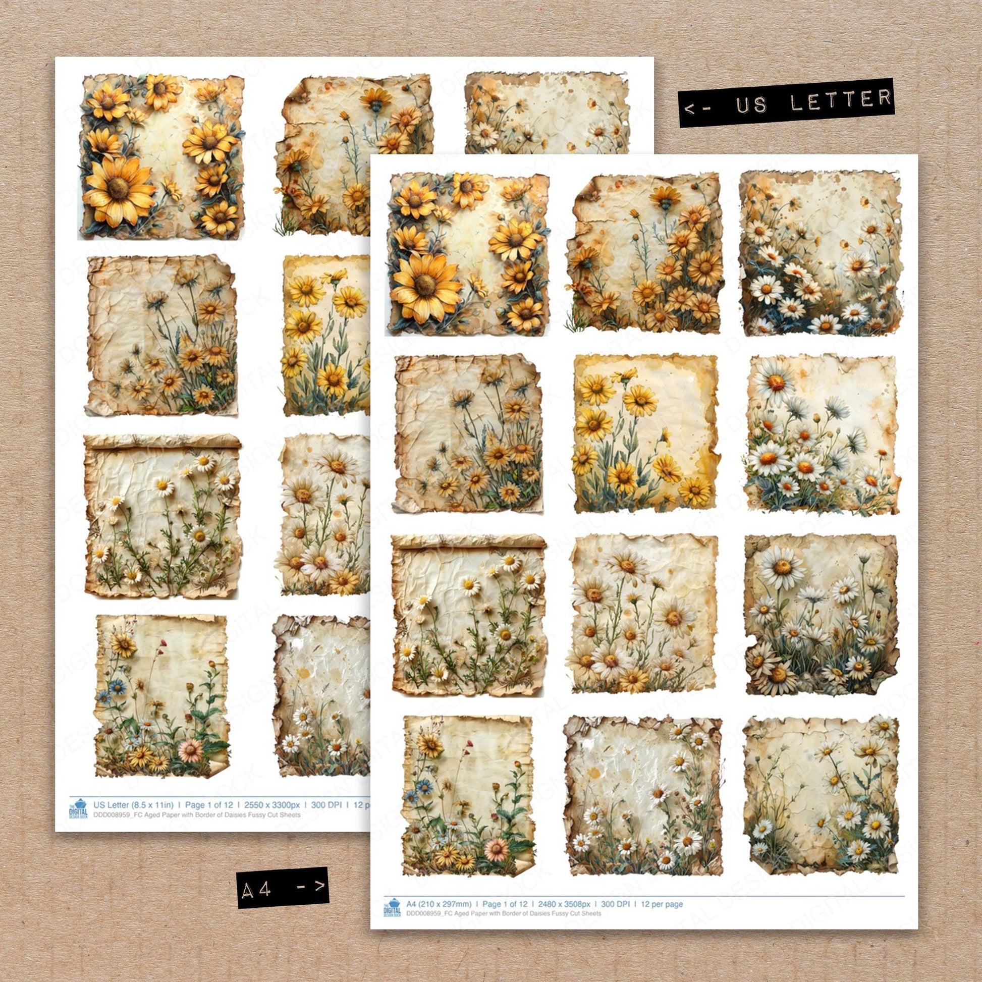 A4 and US Letter format comparison showing Aged with Border of Daisies fussy cut pages for print and cut crafting