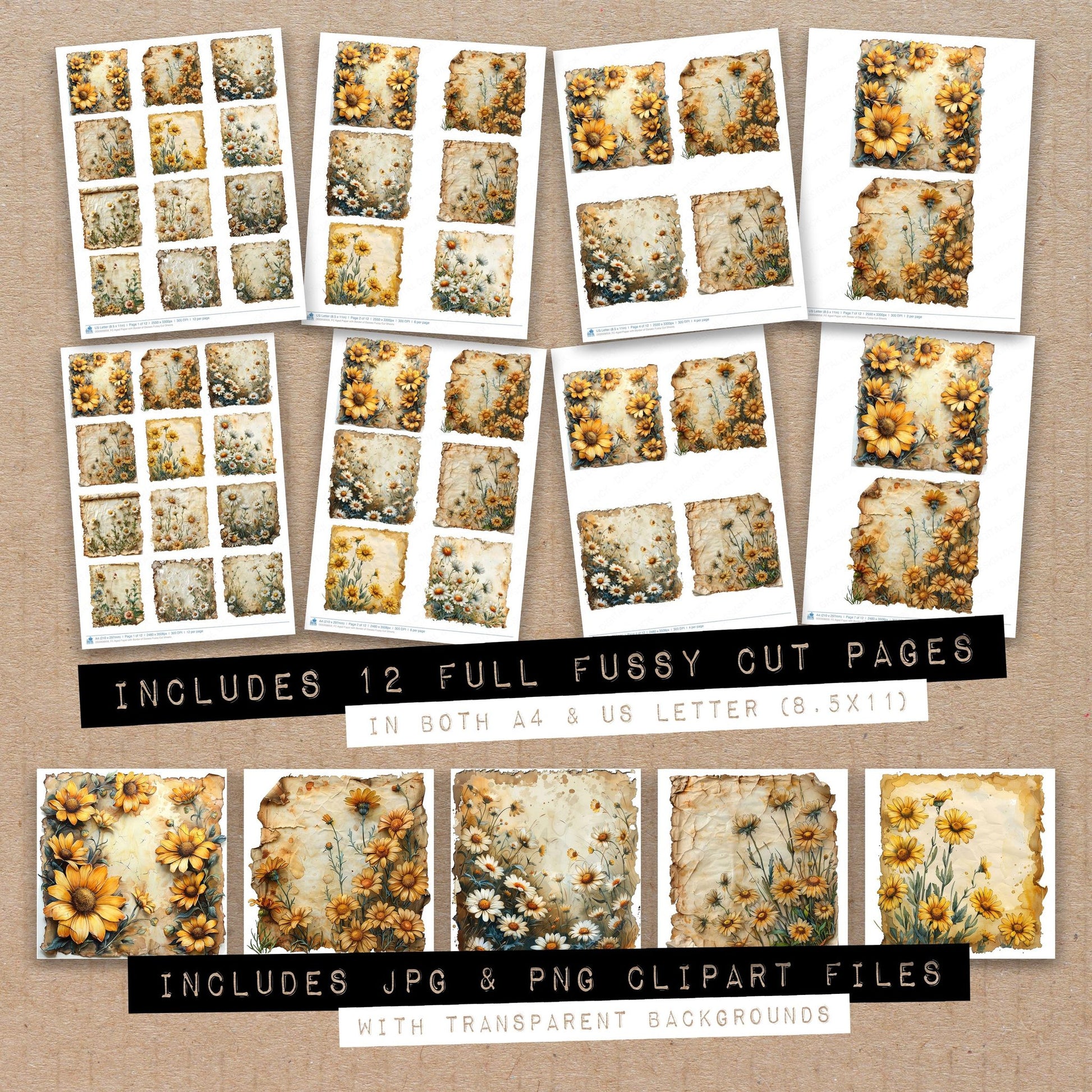 Full collection view of Aged with Border of Daisies fussy cut sheets with bonus clipart JPG and PNG files