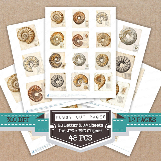 Ammonite Fossil with ID Tag fussy cut printable sheets for junk journaling, scrapbooking, and paper craft projects