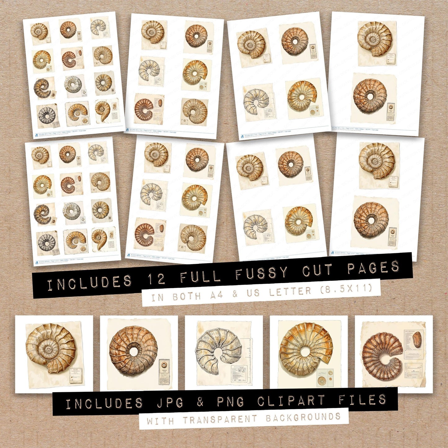 Full collection view of Ammonite Fossil with ID Tag fussy cut sheets with bonus clipart JPG and PNG files