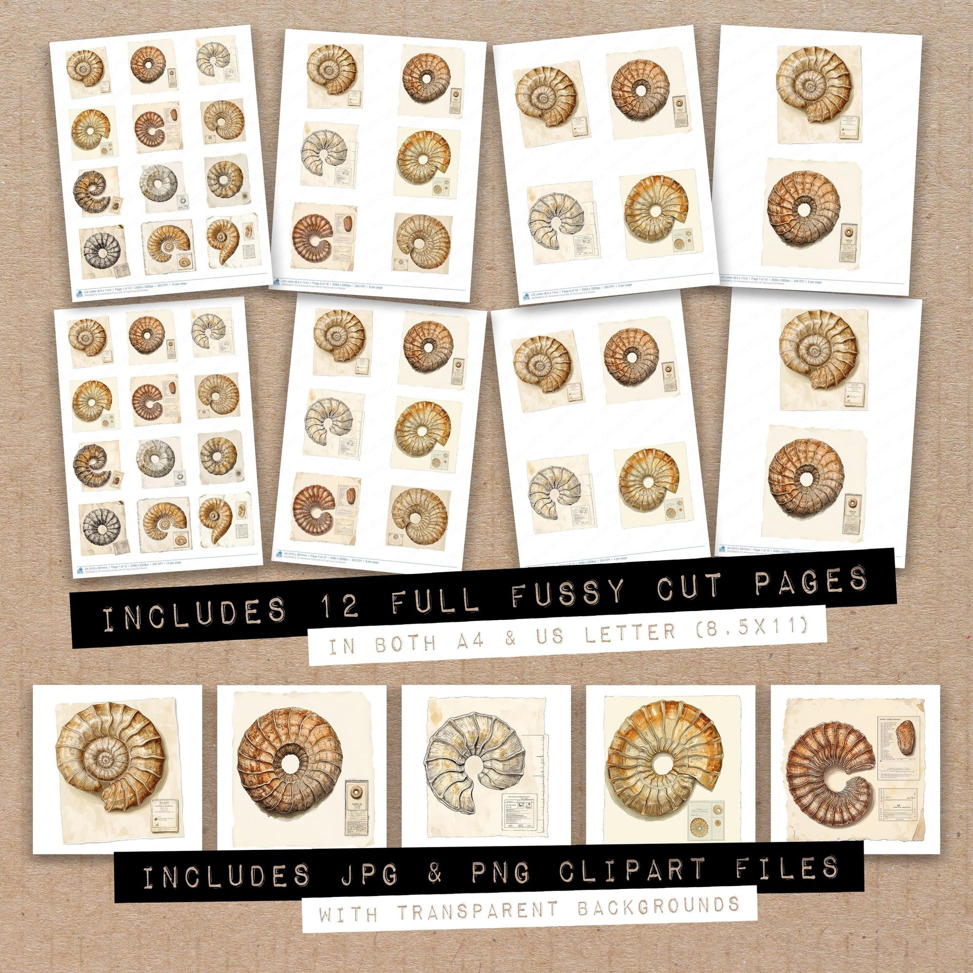 Full collection view of Ammonite Fossil with ID Tag fussy cut sheets with bonus clipart JPG and PNG files